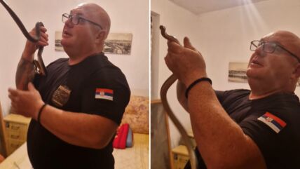 Zmijolovac Vladica izvukao zmiju iz ormara u porodičnoj kući