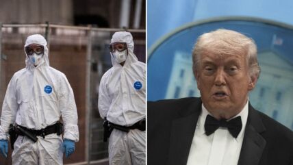 Donald Tramp, virus, hantavirus, kruzer, brod