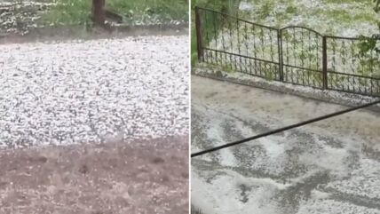 Nevreme u Srbiji (3).jpg