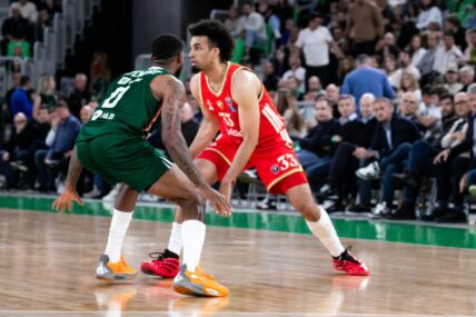 Crvena Zvezda - Cedevita Olimpija (4).jpg