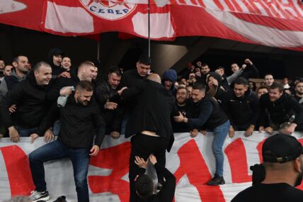 Dejan Stankovic slavi (6).JPG