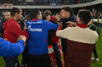 Zvezda - Vojvodina