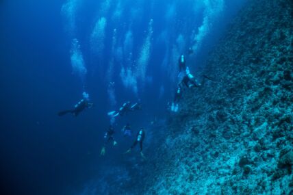 Ronioci na Maldivima