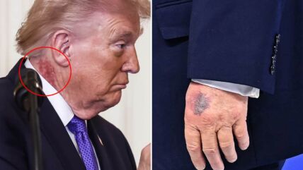 Donald Tramp