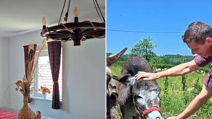 Švajcarac u Srbiji