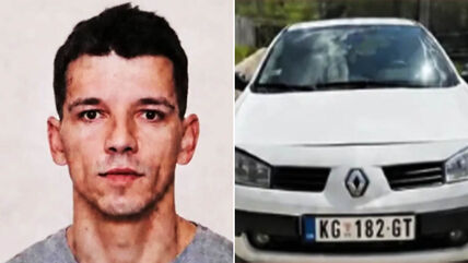 Nestao Nemanja Luković.jpg
