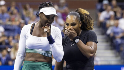 Serena i Venus Vilijams (2).jpg