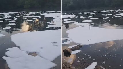 Pena na Tamišu posle nevremena