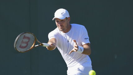 Dušan Lajović