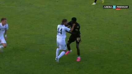 Tuča na Partizan - Nefči