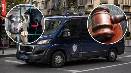 psi policija