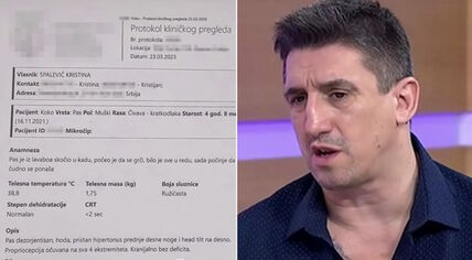 Izveštaj veterinara o psu Kristijana Golubovića