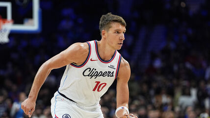 Bogdan Bogdanović