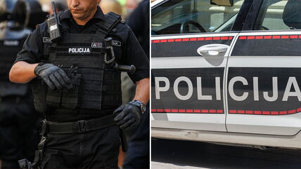 Policija Bosne