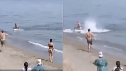 Tuna napala turistu u Španiji.jpg