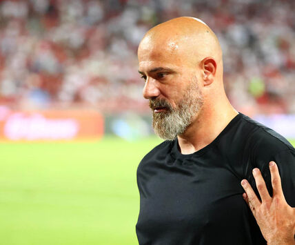 Dejan Stanković 3.jpg