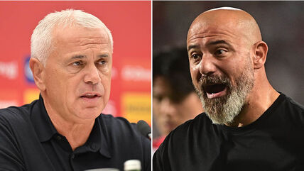 Zvezdan Terzić i Dejan Stanković