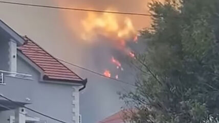 Požar