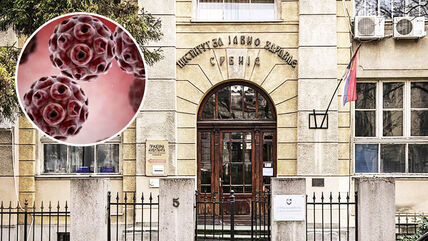 Institut za javno zdravlje Dr Milan Jovanović Batut, virus, virus Zapadnog Nila