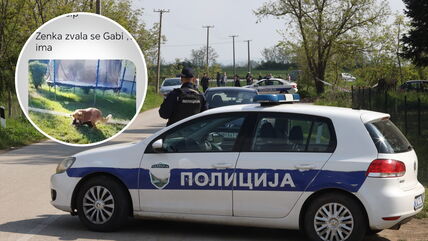 Mladenovac tragedija