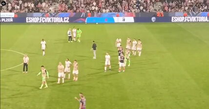 Crvena zvezda igrači