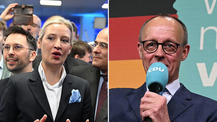 Fridrih Merc i Alis Vajdel