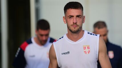 Aleksa Terzić