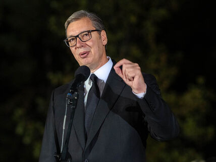 aleksandar_vučić_stefan_stojanović_ (5).jpg