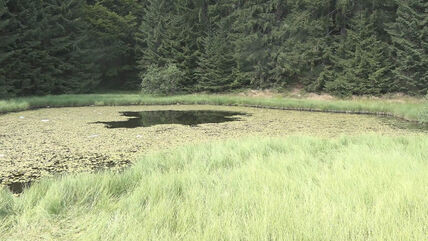 Dajićko jezero (2).jpg