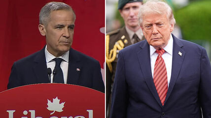 marko karni donald tramp