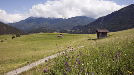 Livada sa drvenim kućicama