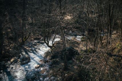 Zloslutna vodenica je teško uočljiva i nepristupačna