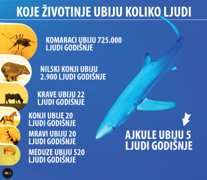 Komarci ubiju 725.000 ljudi godišnje, a ajkule pet ljudi