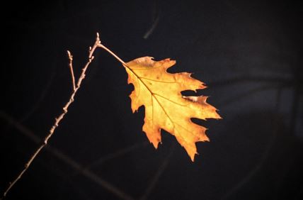 Vremenska prognoza za jesen 2017.