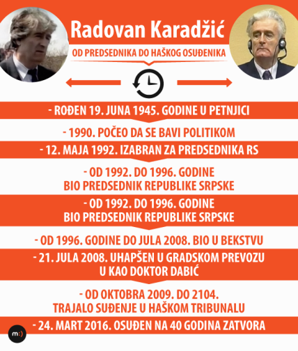 Strani mediji - presuda Karadžiću