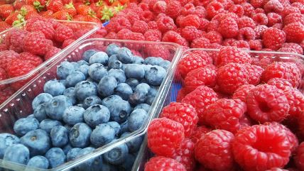 borovnice, maline, jagode