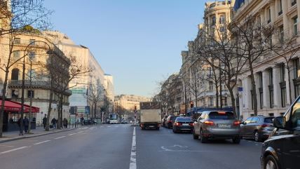 Srbi u Parizu - protesti u Francuskoj 