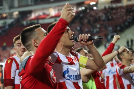 crvena zvezda top 5 povratnici nenad milijas dejan savicevic dragan mrdja vujadin savic