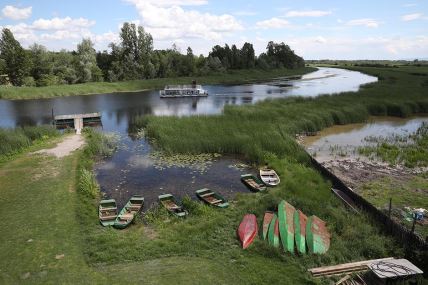 Ekologija - pojedine biljne i životinjske vrste pred izumiranjem - Zasavica