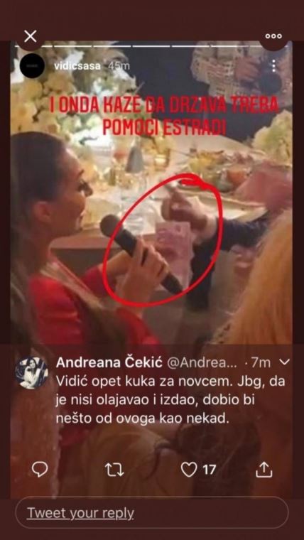 Svetlana Ceca Ražnatović Saša Vidić prozivke romska svadba Andreana Čekić brani Cecu