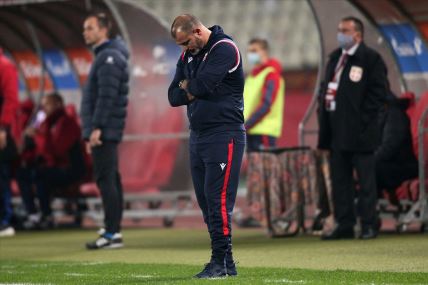 fk crvena zvezda rotacije dejan stakovic problem kvalitet ili kvantitet