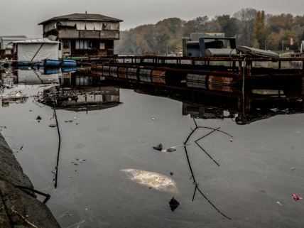 ada ciganlija rukavac smrad ciscenje srbija vode