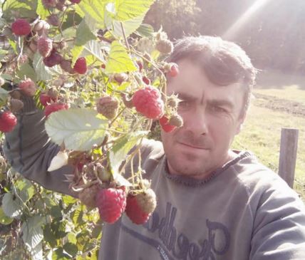 milan tomic iz sela gojna gora trazi zenu bela kuga u srbiji