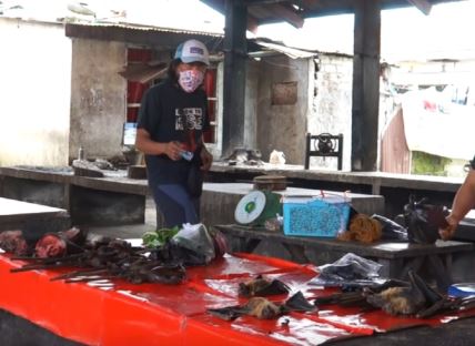 "Wet market" u Vuhanu - pijaca odakle se veruje da je sve poteklo