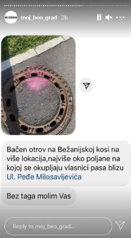 novi beograd bezanijska kosa blok 61 bacen otrov trovanje pasa kreozan