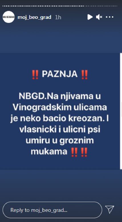 novi beograd bezanijska kosa blok 61 bacen otrov trovanje pasa kreozan