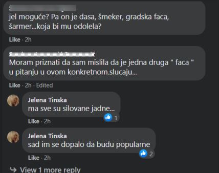 branislav lecic silovao danijelu stajnfeld jelena tinska uvrede glumac silovanje optuzbe glumice