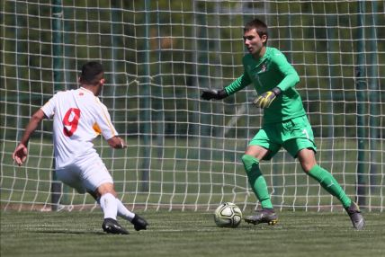 crvena zvezda golmani buducnost milan borjan zoran popovic