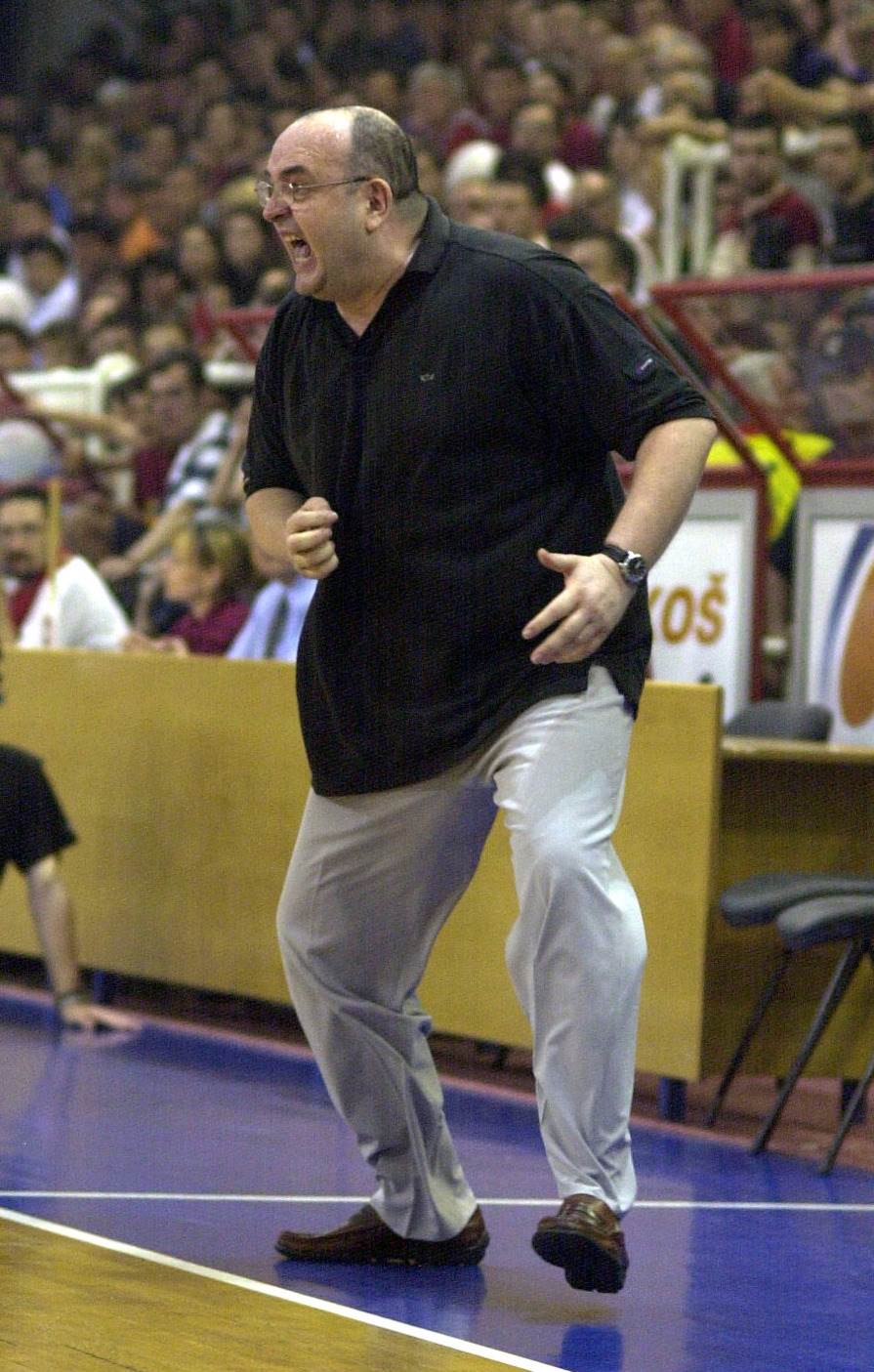 Ko je žena Duška Vujoševića?