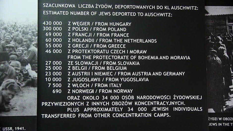 Fotografija devojčice iz Aušvica